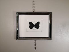 Impresión italiana contemporánea de mariposas coloreadas a mano con marco de espejo