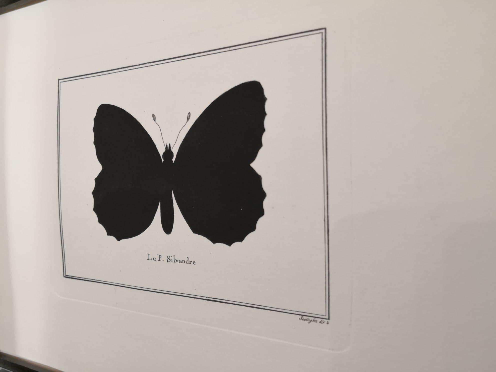 Hand-Painted Contemporary Italian Hand Colored Butterfly Print with Mirror Frame For Sale