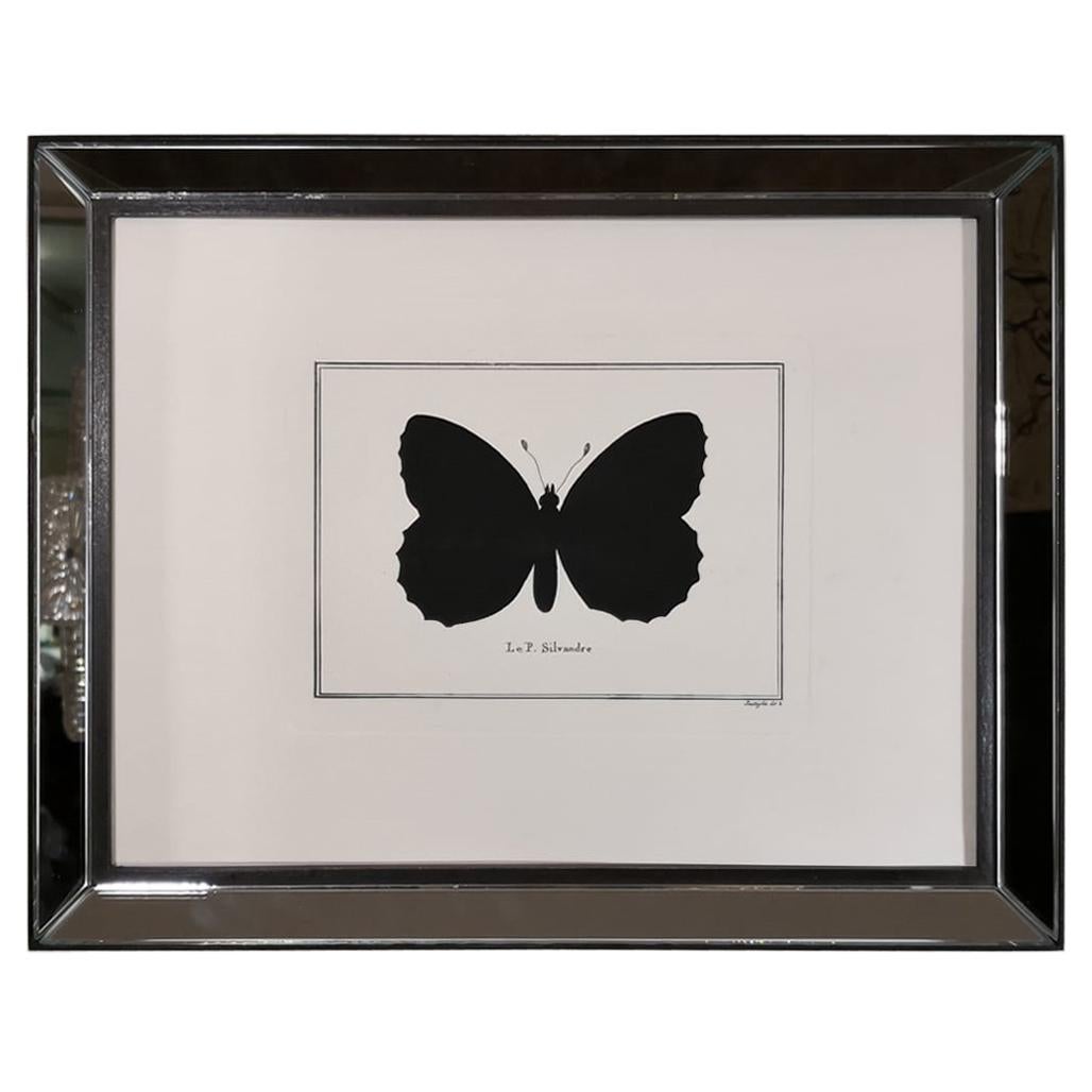 Contemporary Italian Hand Colored Butterfly Print with Mirror Frame