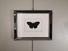 Estampa italiana contemporánea de mariposa Leucippe coloreada a mano con marco de espejo