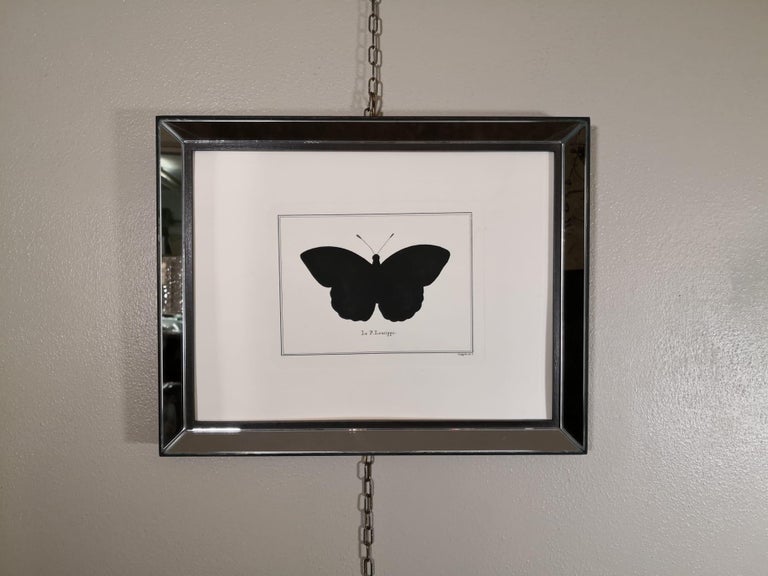Artistic decorative hand water coloured print representing a Leucippe butterfly.
This print has been pressed with an ancient press called 