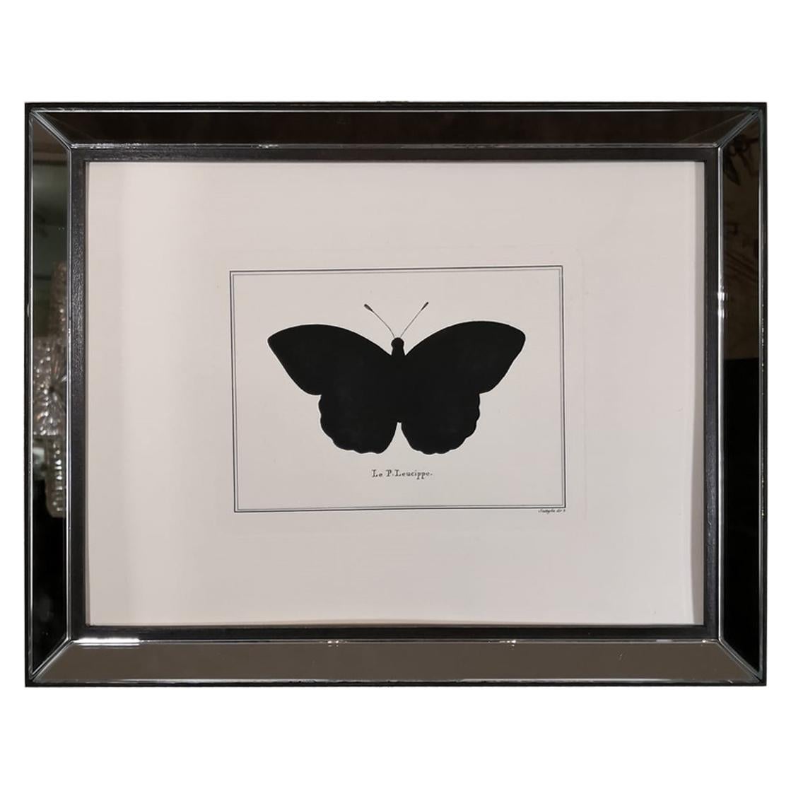 Zeitgenössischer italienischer handkolorierter Leucippe-Schmetterlingsdruck mit Spiegelrahmen