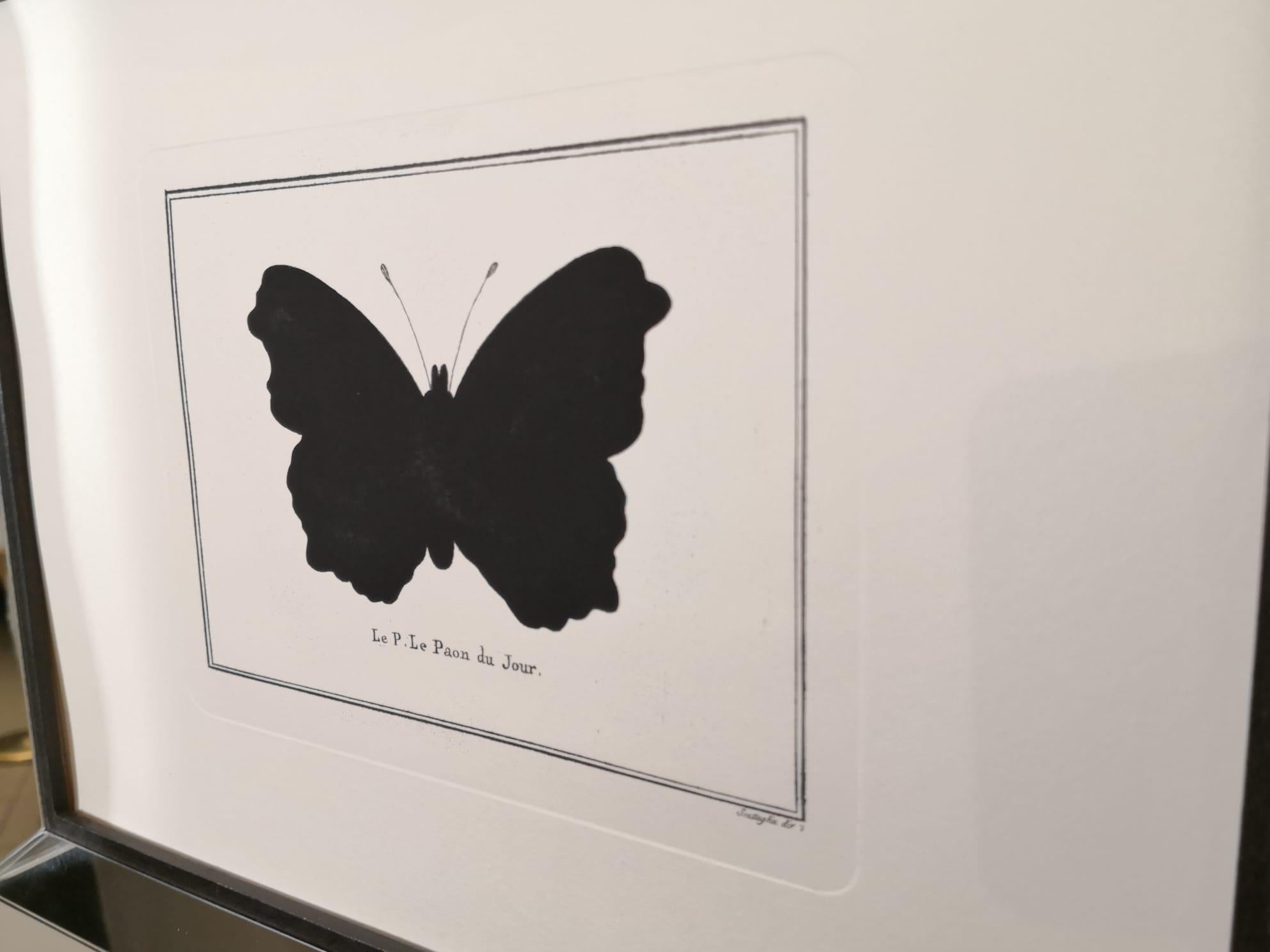 Contemporary Italian Hand Colored Peacock Butterfly Druck mit Spiegelrahmen (Handbemalt) im Angebot