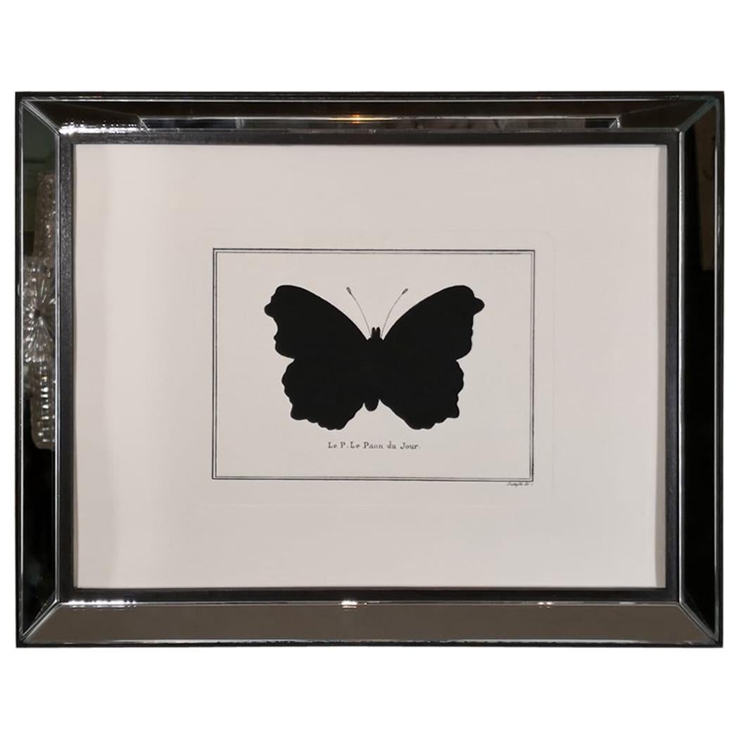 Contemporary Italian Hand Colored Peacock Butterfly Print with Mirror Frame