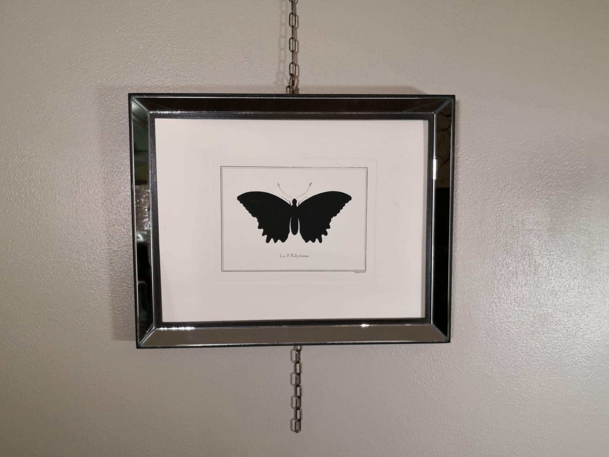 Artistic decorative hand water coloured print representing a Battus Polydamas butterfly, also known as the gold rim swallowtail butterfly.
This print has been pressed with an ancient press called 