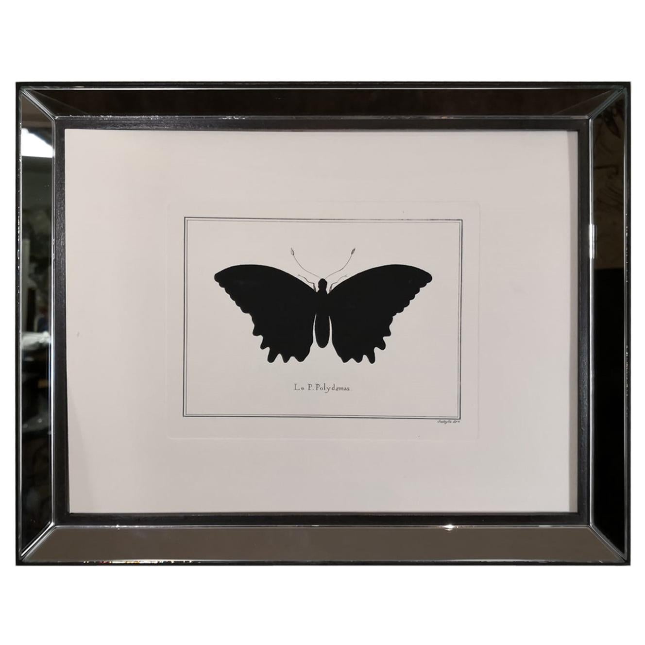Contemporary Italian Hand Colored Polydamas Butterfly Print with Mirror Frame