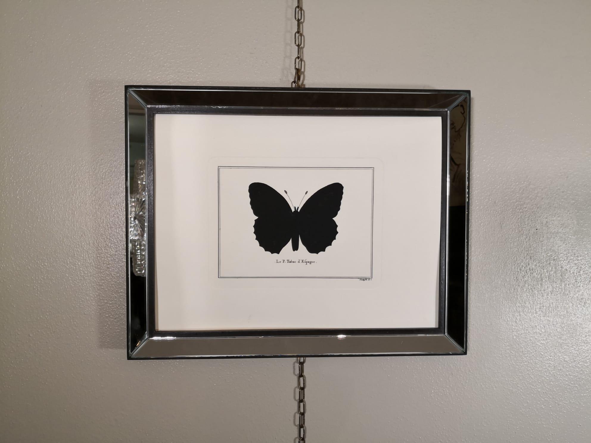 Hand-Painted Contemporary Italian Hand-Colored Silver-Washed Butterfly Print with MirrorFrame For Sale