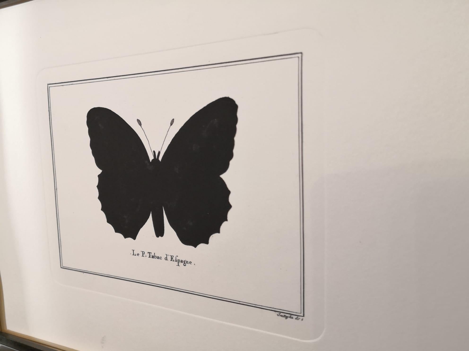 Contemporary Italian Hand-Colored Silver-Washed Butterfly Print with MirrorFrame For Sale 1