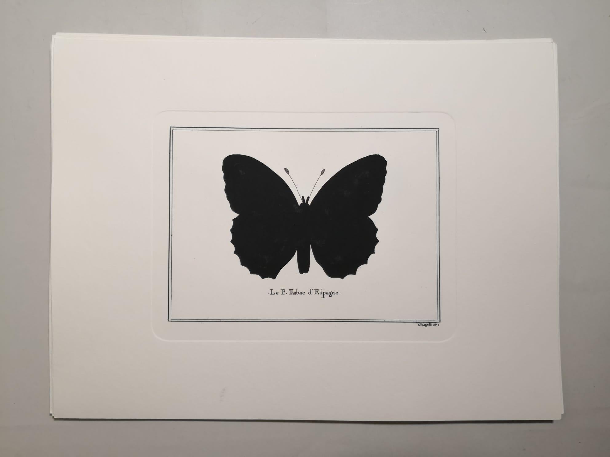 Contemporary Italian Hand-Colored Silver-Washed Butterfly Print with MirrorFrame For Sale 3