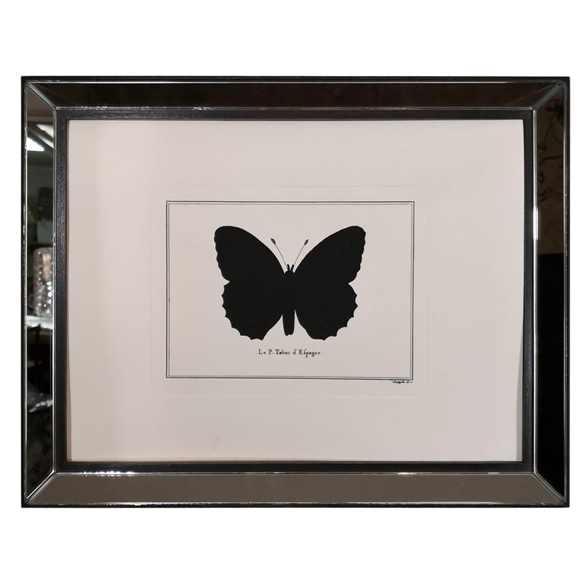Contemporary Italian Hand-Colored Silver-Washed Butterfly Print with MirrorFrame For Sale
