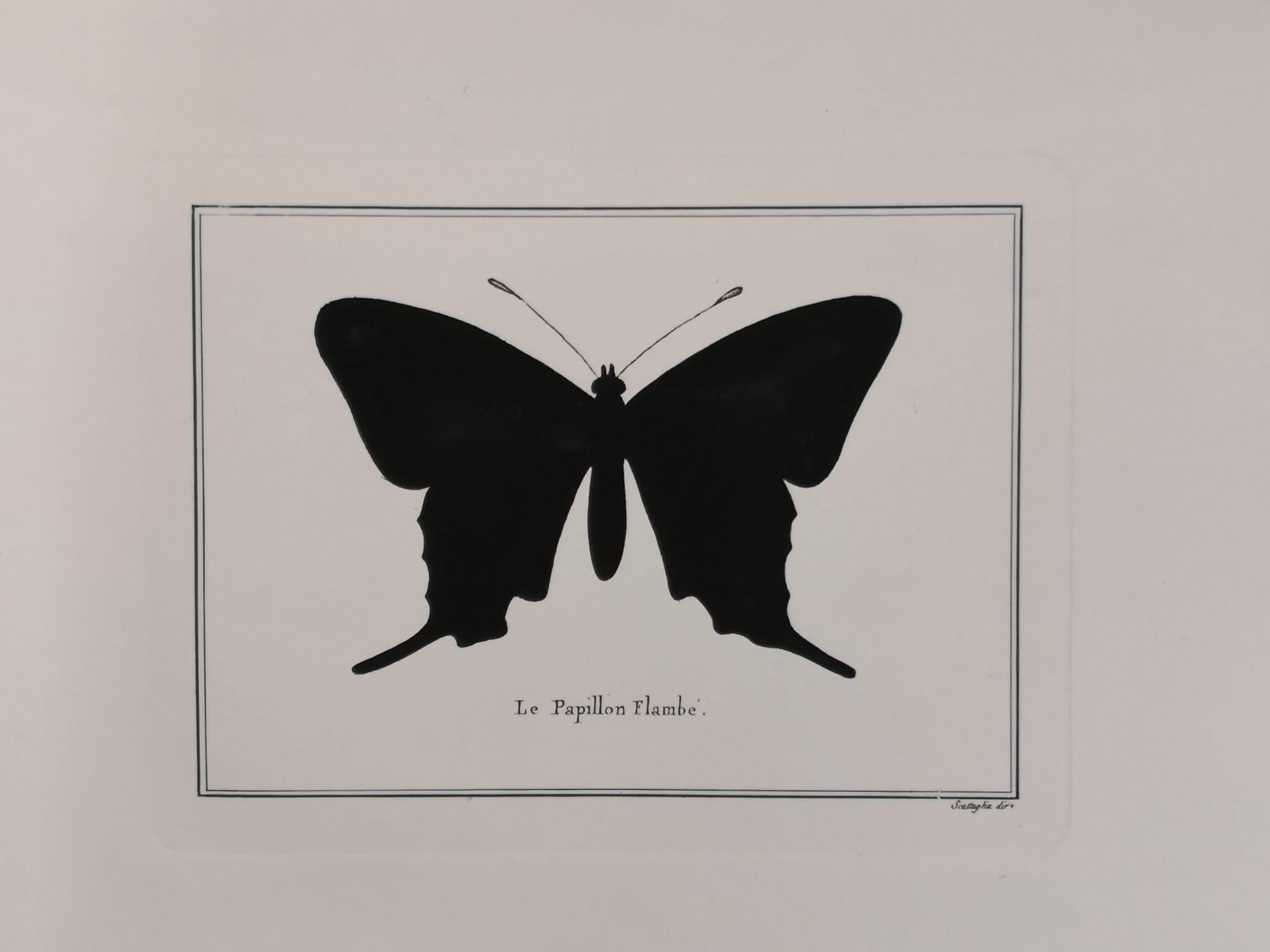 Impresión italiana contemporánea de mariposa cola de golondrina coloreada a mano con marco de espejo Italiano en venta