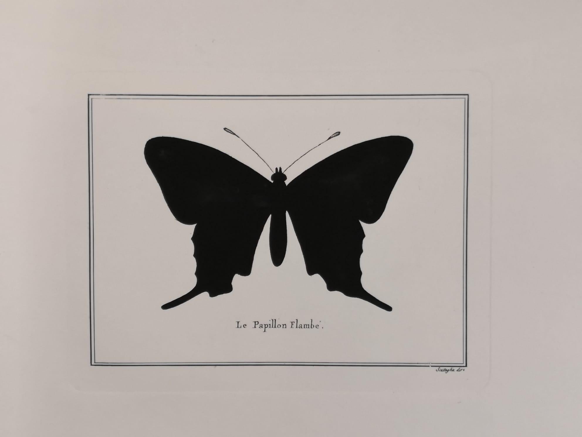 Hand-Painted Contemporary Italian Hand Colored Swallowtail Butterfly Print with Mirror Frame For Sale