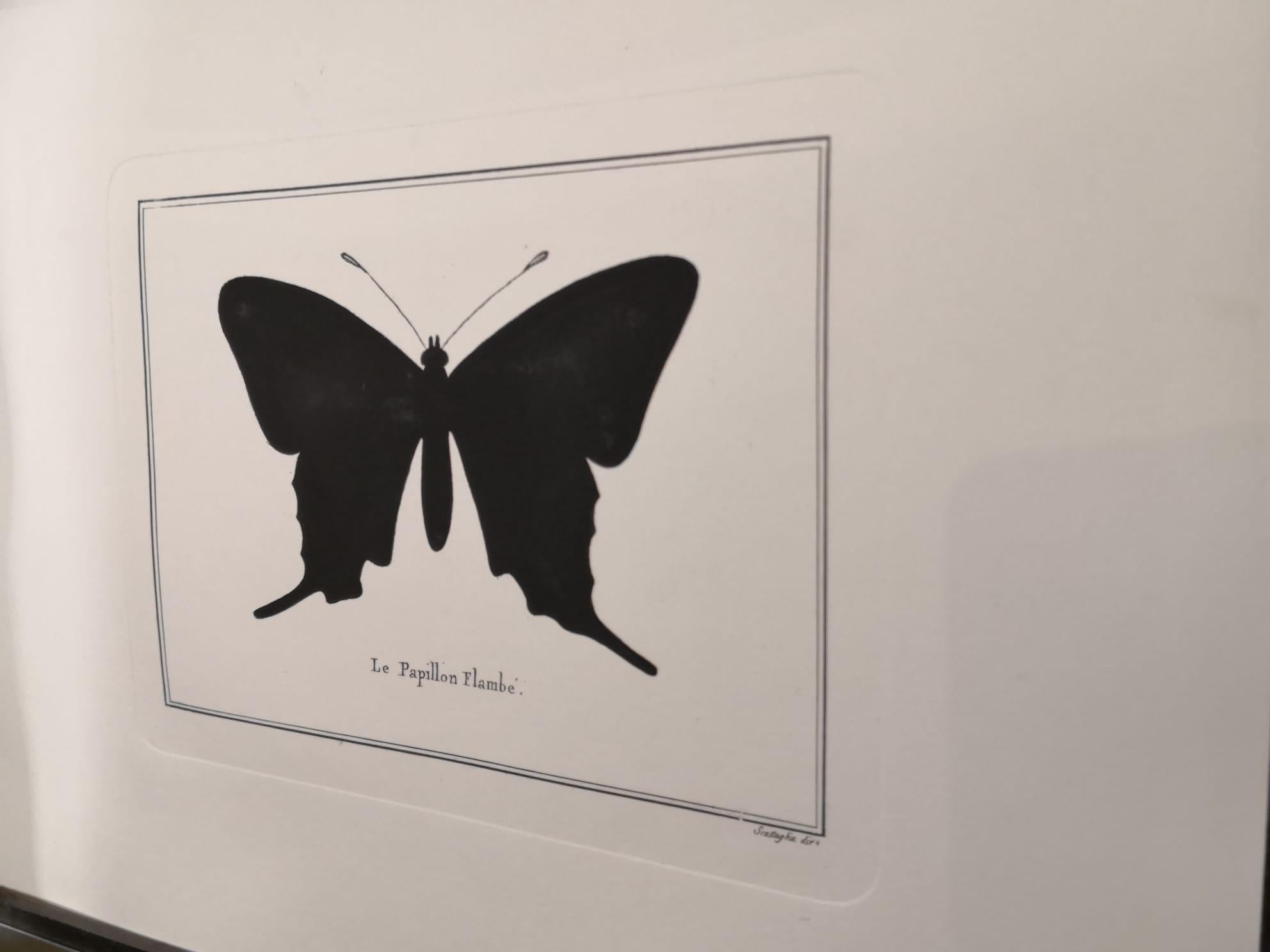 Impresión italiana contemporánea de mariposa cola de golondrina coloreada a mano con marco de espejo en Nuevo estado para la venta en Scandicci, Florence