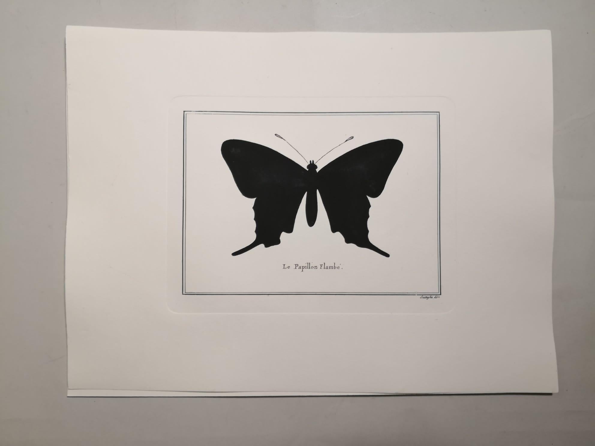 Impresión italiana contemporánea de mariposa cola de golondrina coloreada a mano con marco de espejo Papel en venta