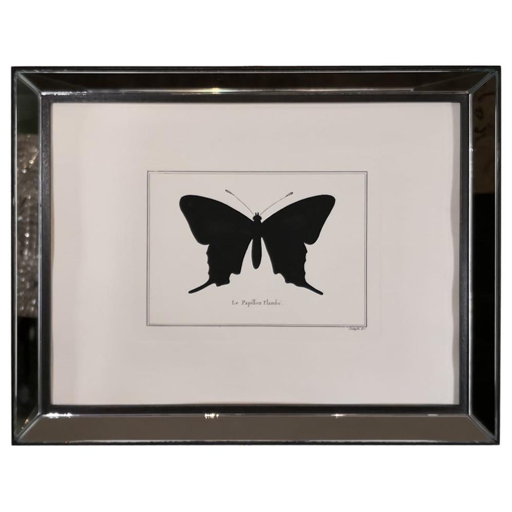 Contemporary Italian Hand Colored Swallowtail Butterfly Print with Mirror Frame