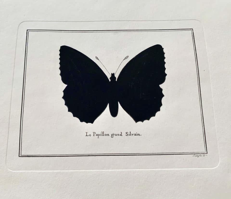 Artistic decorative hand water colored print representing a butterfly.
This print has been pressed with an ancient press called 