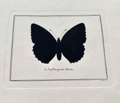 Contemporary Italian Hand Water Colored Butterfly Print with Mirror Frame