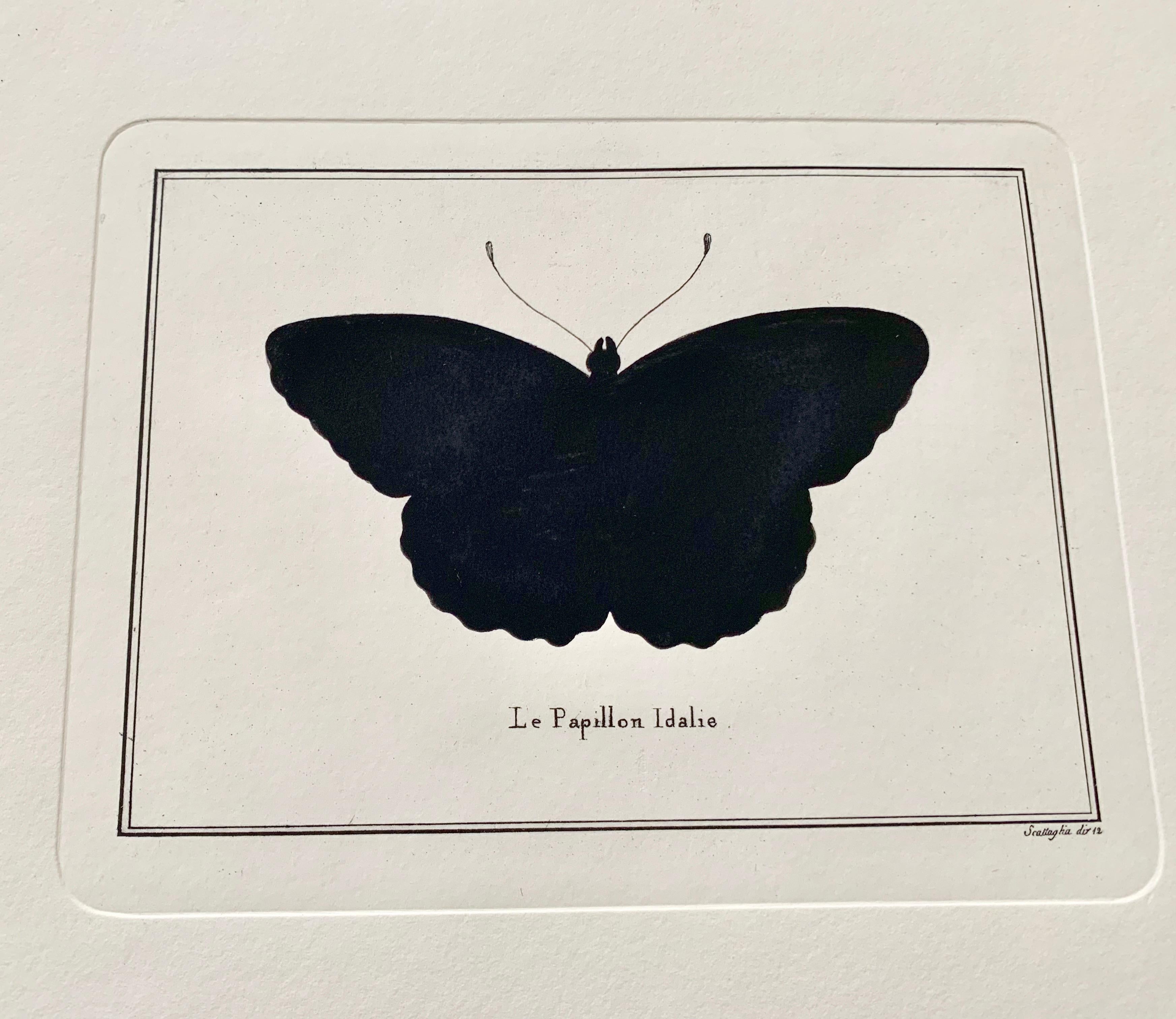 Artistic decorative hand watercoloured print representing a butterfly. 
This print has been pressed with an ancient press called 