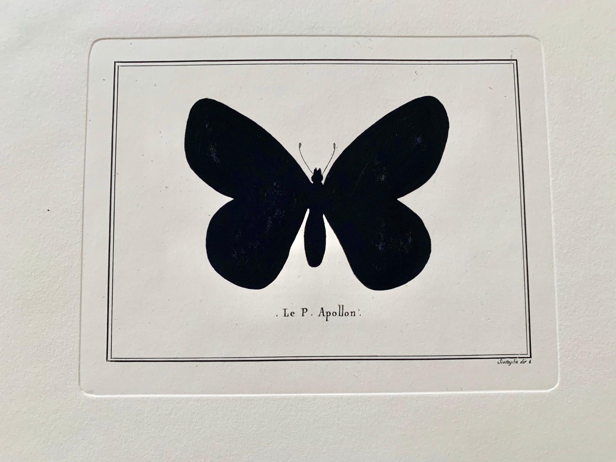 Artistic decorative hand watercolored print representing a butterfly.
This print has been pressed with an ancient press called 