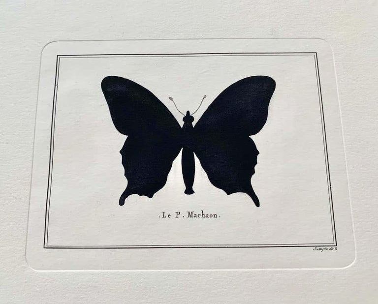 Artistic decorative hand water colored print representing a butterfly.
This print has been pressed with an ancient press called 