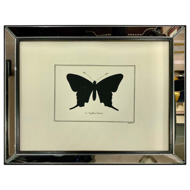 Contemporary Italian Hand Water Colored Butterfly Print with Mirror Frame For Sale