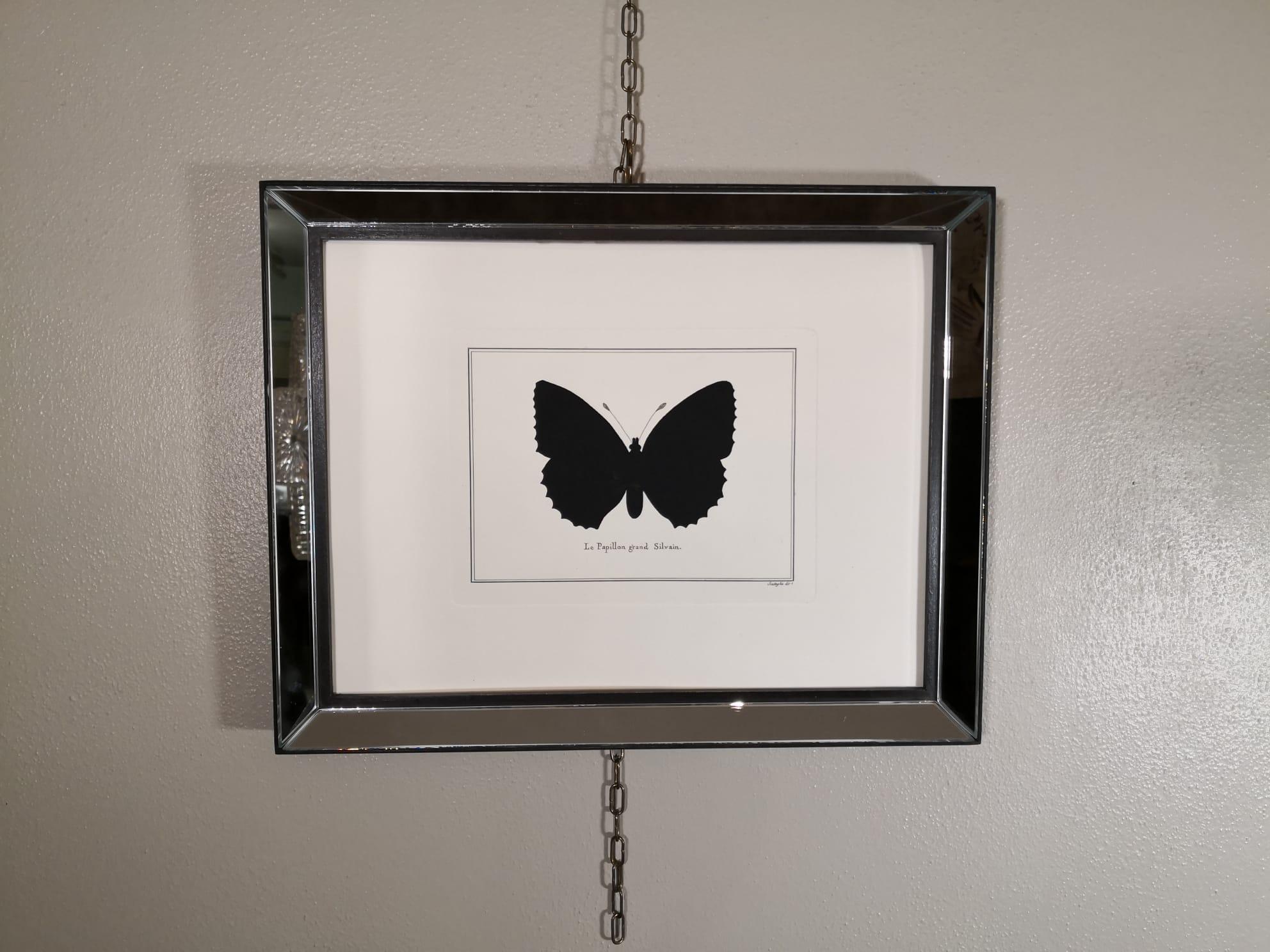 Artistic decorative hand water colored print representing a poplar admiral butterfly.
This print has been pressed with an ancient press called 