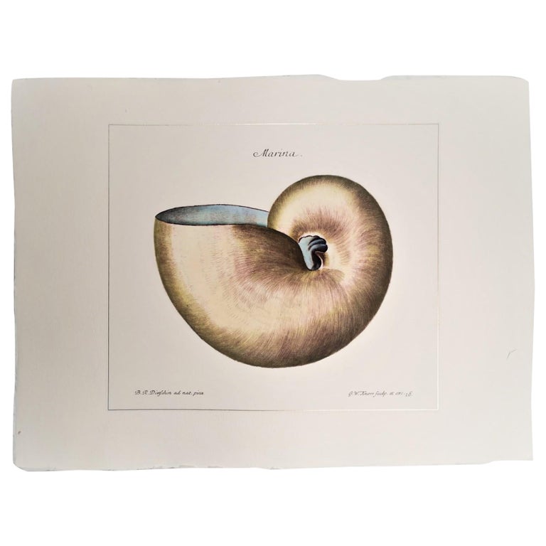 Contemporary Italian Hand Colored Print, Collection 