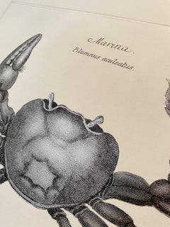 Zeitgenössischer italienischer ""Marina"-Druckdruck mit Pressgravur auf reinem Blattsilber, 1 von 4