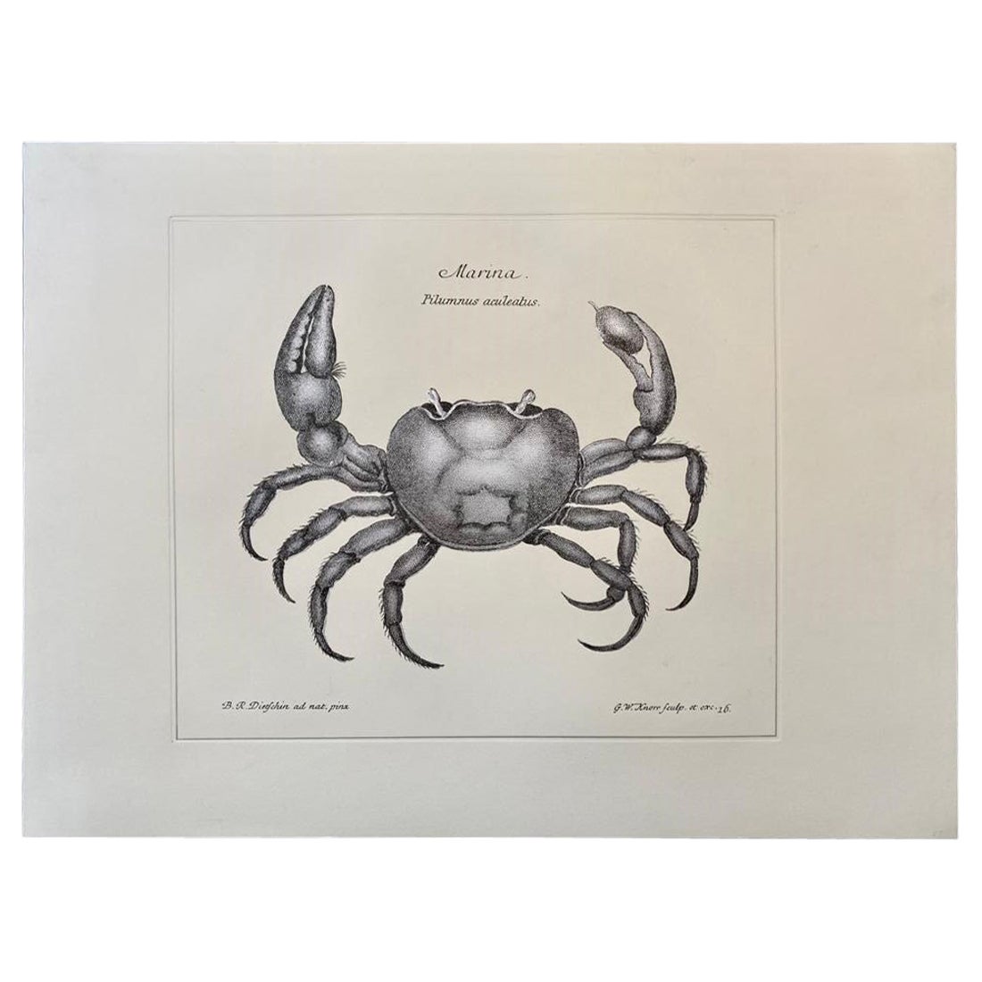 Contemporary Italian "Marina" Print Press Engraving on Pure Silver Leaf, 1 of 4