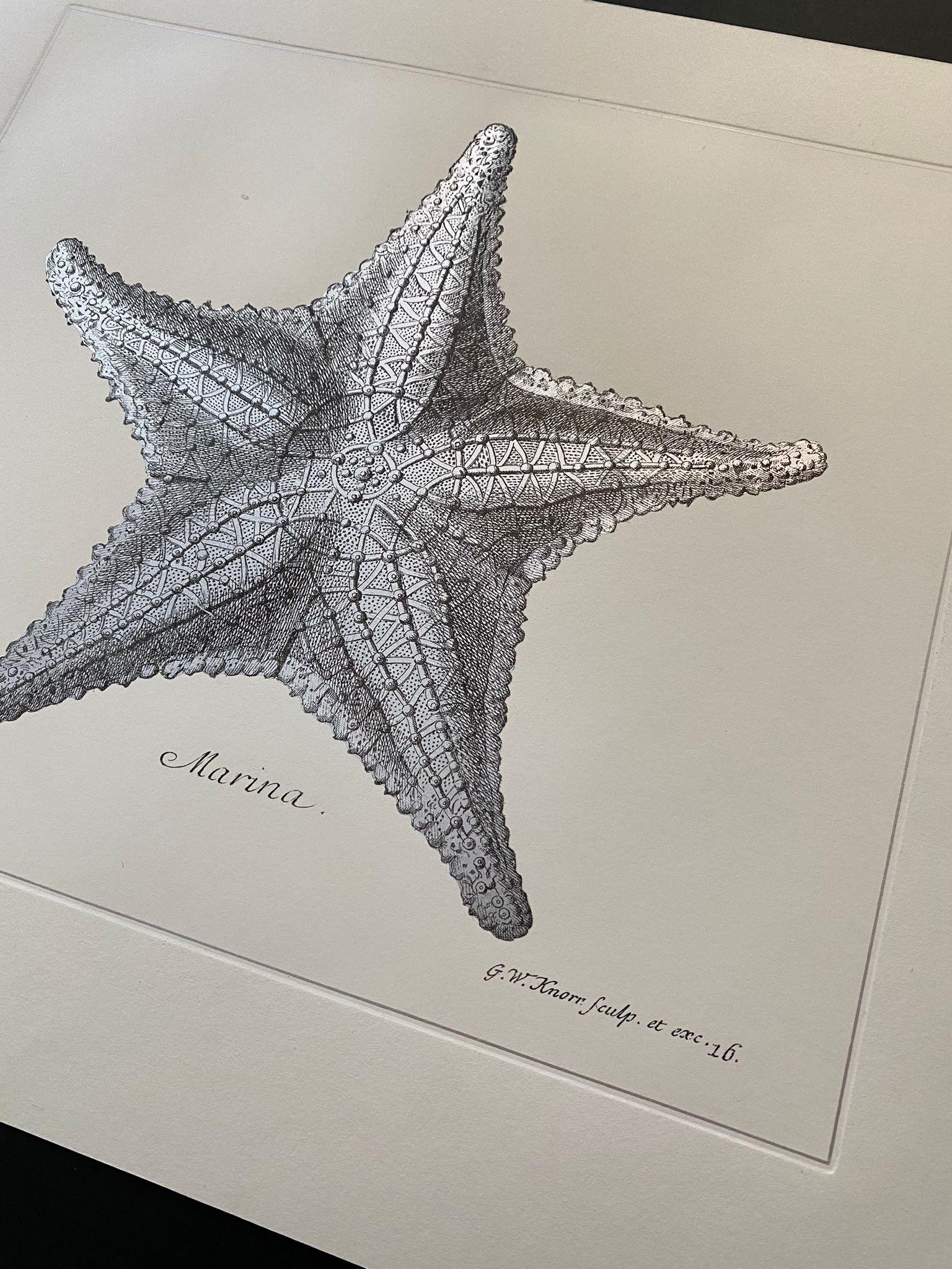 Marina Starfish handgefertigter Druck. Die Technik des Drucks auf Blattsilber ist unsere Neuinterpretation einer alten Tradition.
Jeder Druck wird vollständig in Italien von unseren Meisterhandwerkern gedruckt und gefärbt.
Eleganter