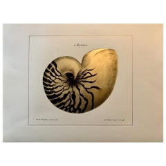 Contemporary Italian "Marina" Print with Press Engraving on Pure Gold Leaf