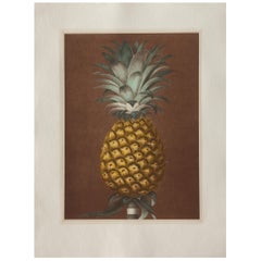 Collection d'imprimés ananas italiens contemporains colorés à la main - 2 de 2