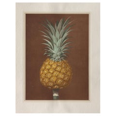 Contemporary Italian Pineapple Hand-Colored Print Set of 2