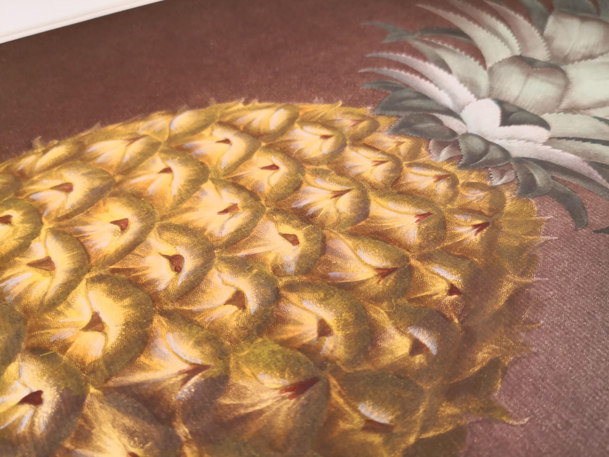 Hand-Painted Contemporary Italian Pineapple Hand-Colored Print Collection 2 of 2 For Sale