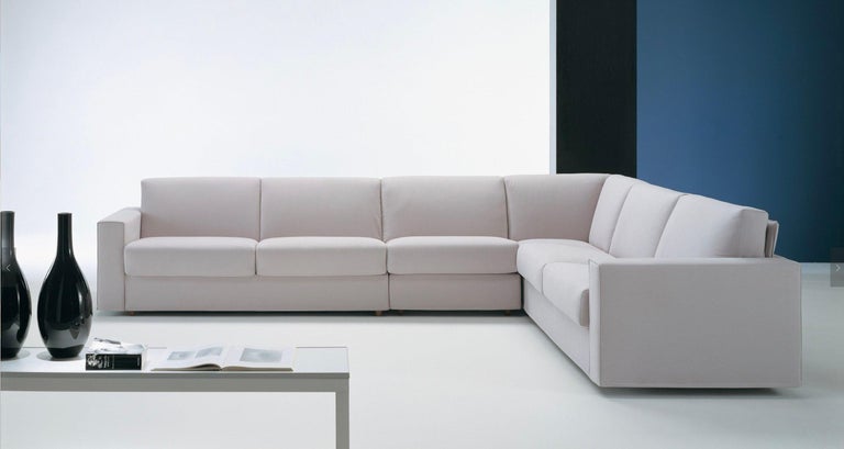 Contemporary Italian Sofa Bed With Chaise Lounge And Storage Space New