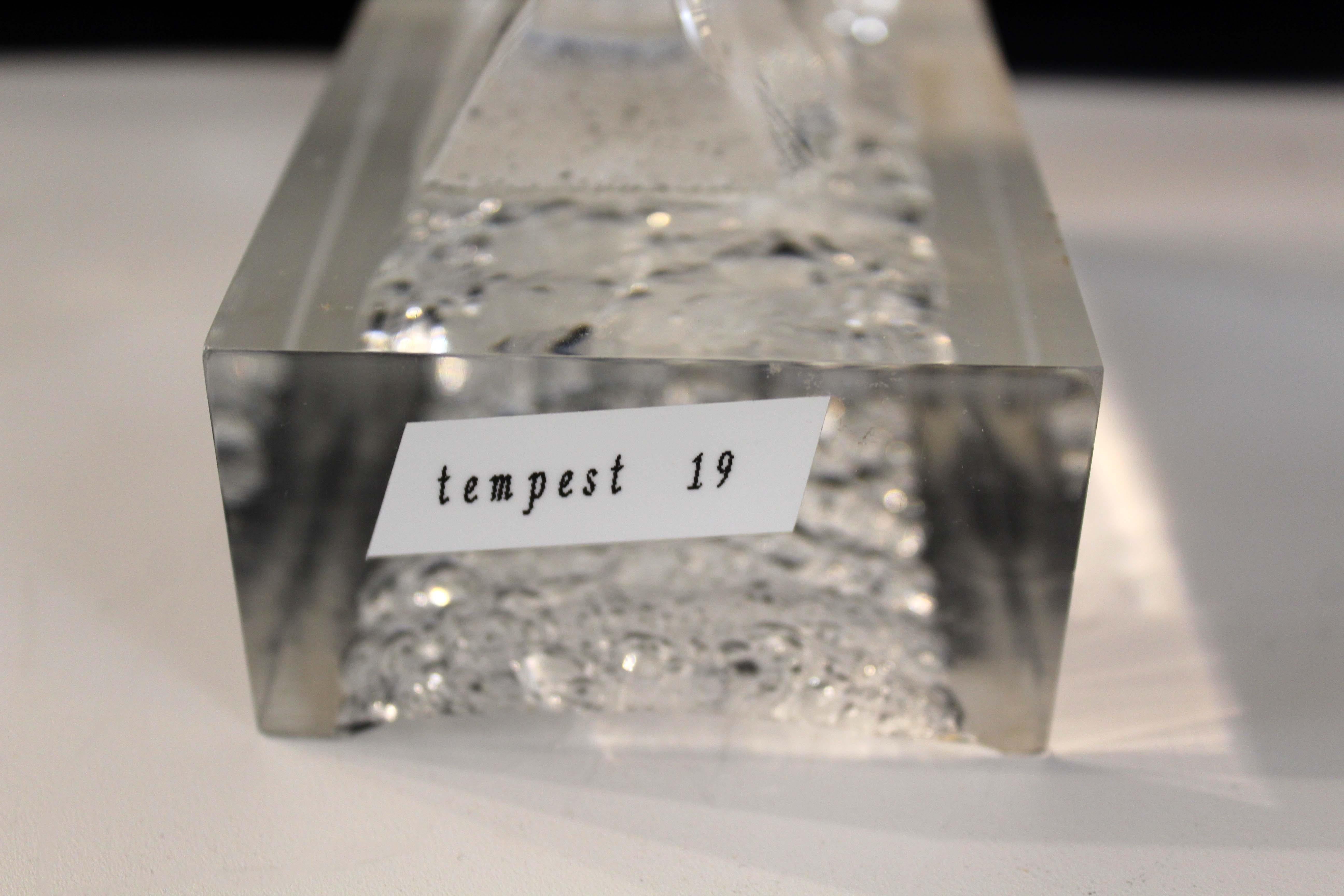 Late 20th Century Contemporary James Nani Tempest Acrylic Sculpture, 1980s