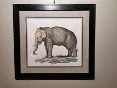 Zeitgenössischer Dschungel-Stil Elefant handbemalter Druck mit schwarz beschichtetem Rahmen