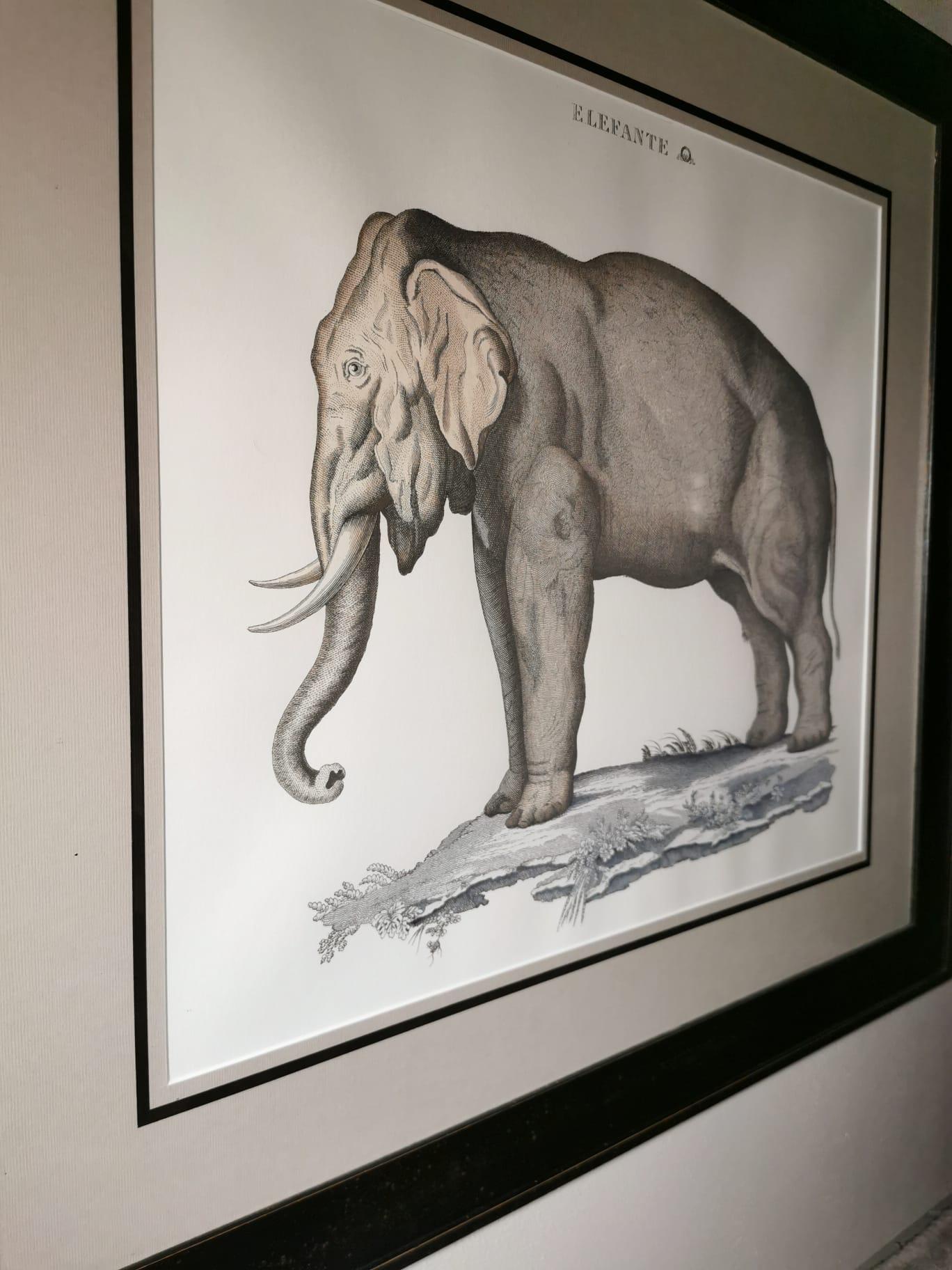 Stampa contemporanea di Elefante in stile giungla dipinta a mano con cornice rivestita di nero In condizioni Nuovo in vendita a Scandicci, Florence