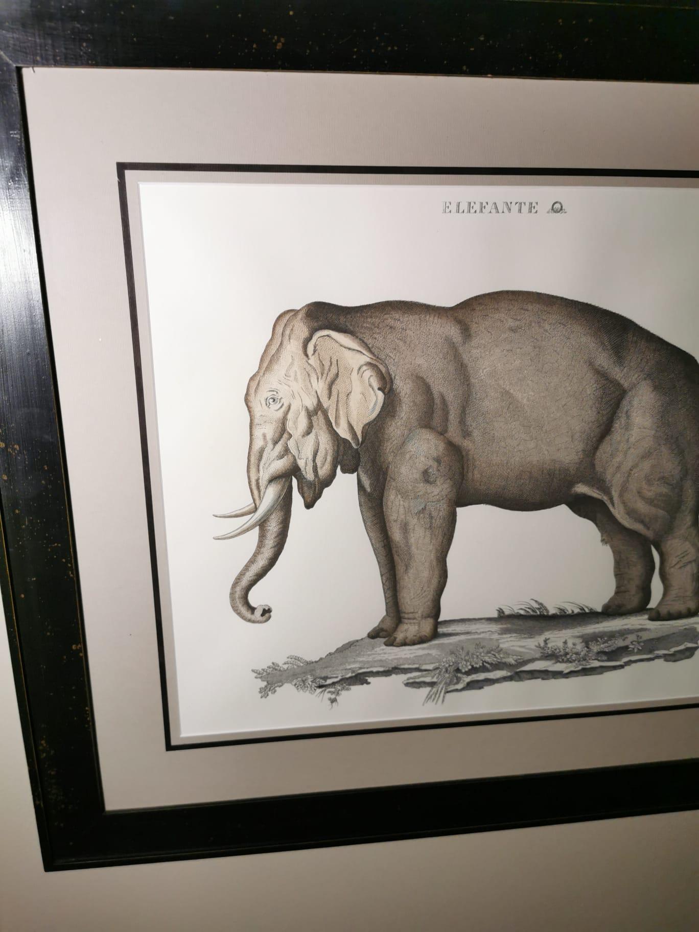 Italian Contemporary Jungle Style Elephant Hand Painted Print with Black Coated Frame For Sale