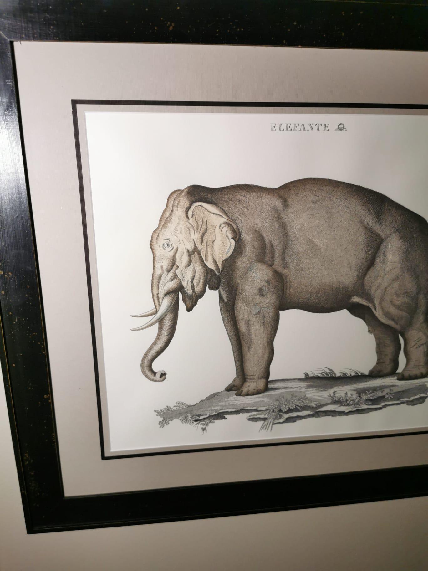 XXI secolo e contemporaneo Stampa contemporanea di Elefante in stile giungla dipinta a mano con cornice rivestita di nero in vendita
