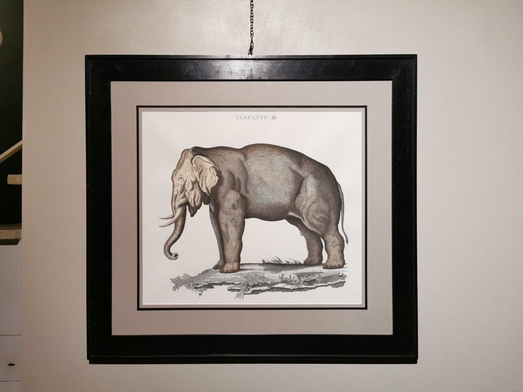 Contemporary Jungle Style Elephant Hand Painted Print with Black Coated Frame For Sale 1