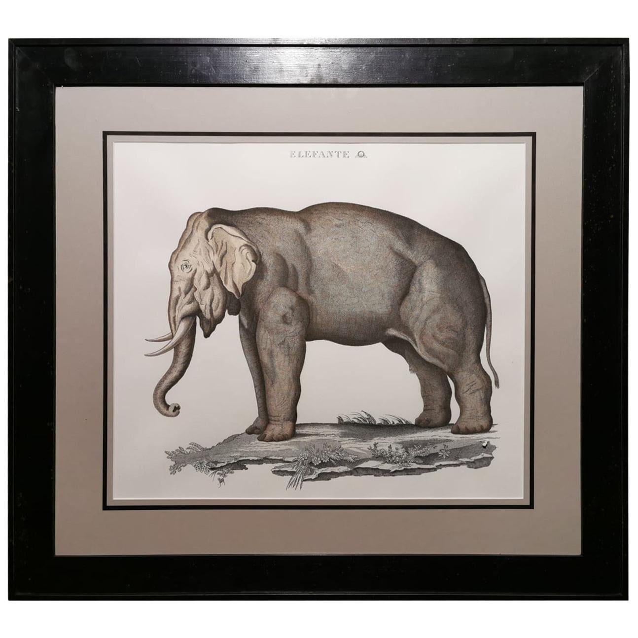 Contemporary Jungle Style Elephant Hand Painted Print with Black Coated Frame For Sale