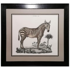 Contemporary Jungle Style Zebra Hand aquarelliert Druck mit schwarz beschichtetem Rahmen