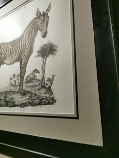 Contemporary Jungle Style Zebra Hand Watercolored Print with Black Coated Frame