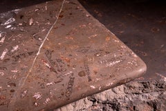 Aina Contemporary Jurassic Fossil Marble Flow Sink, Living Collection