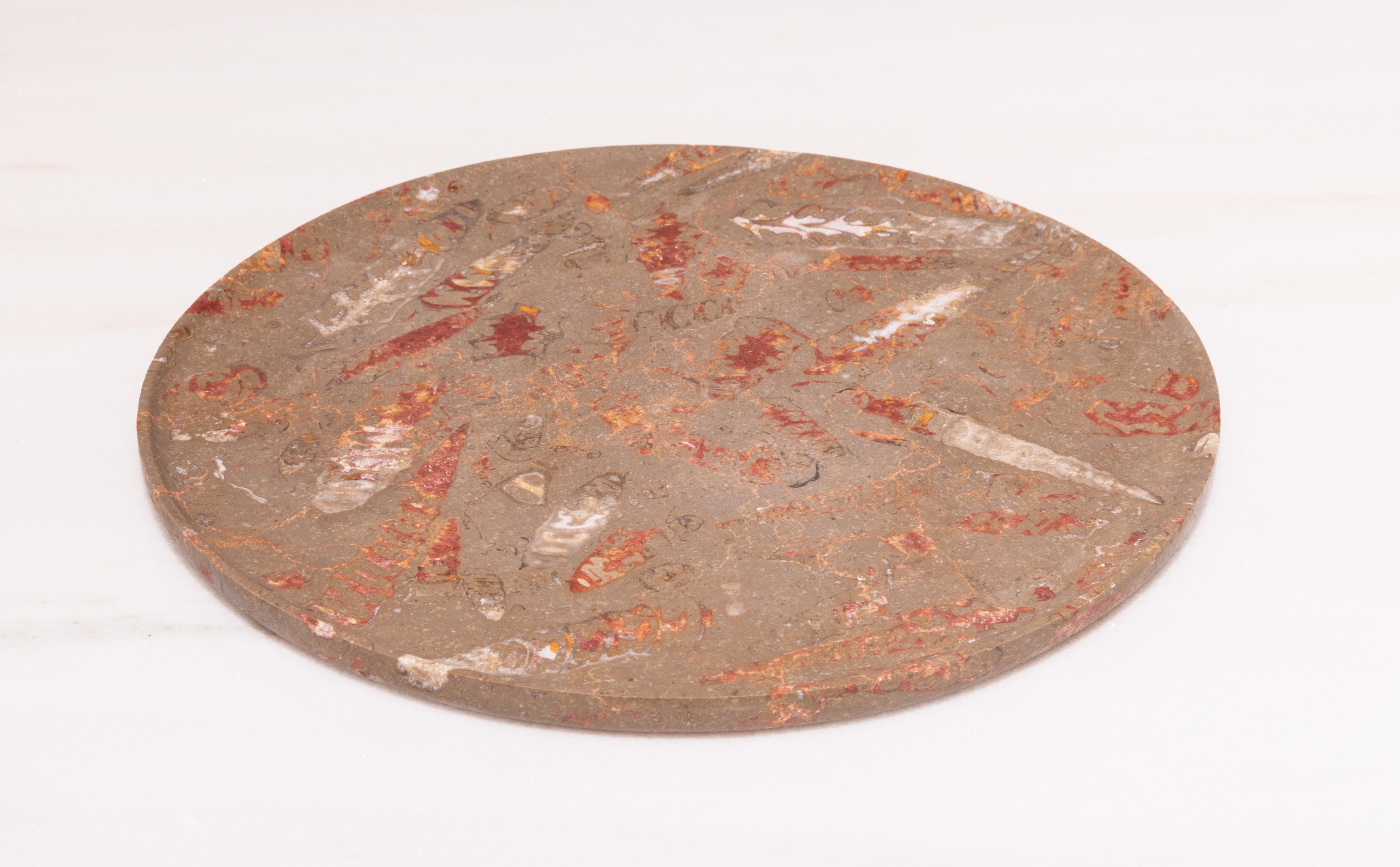 Aina Contemporary Jurassic Fossil Marble Mare Plate, Living Collection For Sale 2