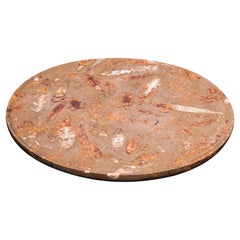 Aina Contemporary Jurassic Fossil Marble Mare Plate, Living Collection