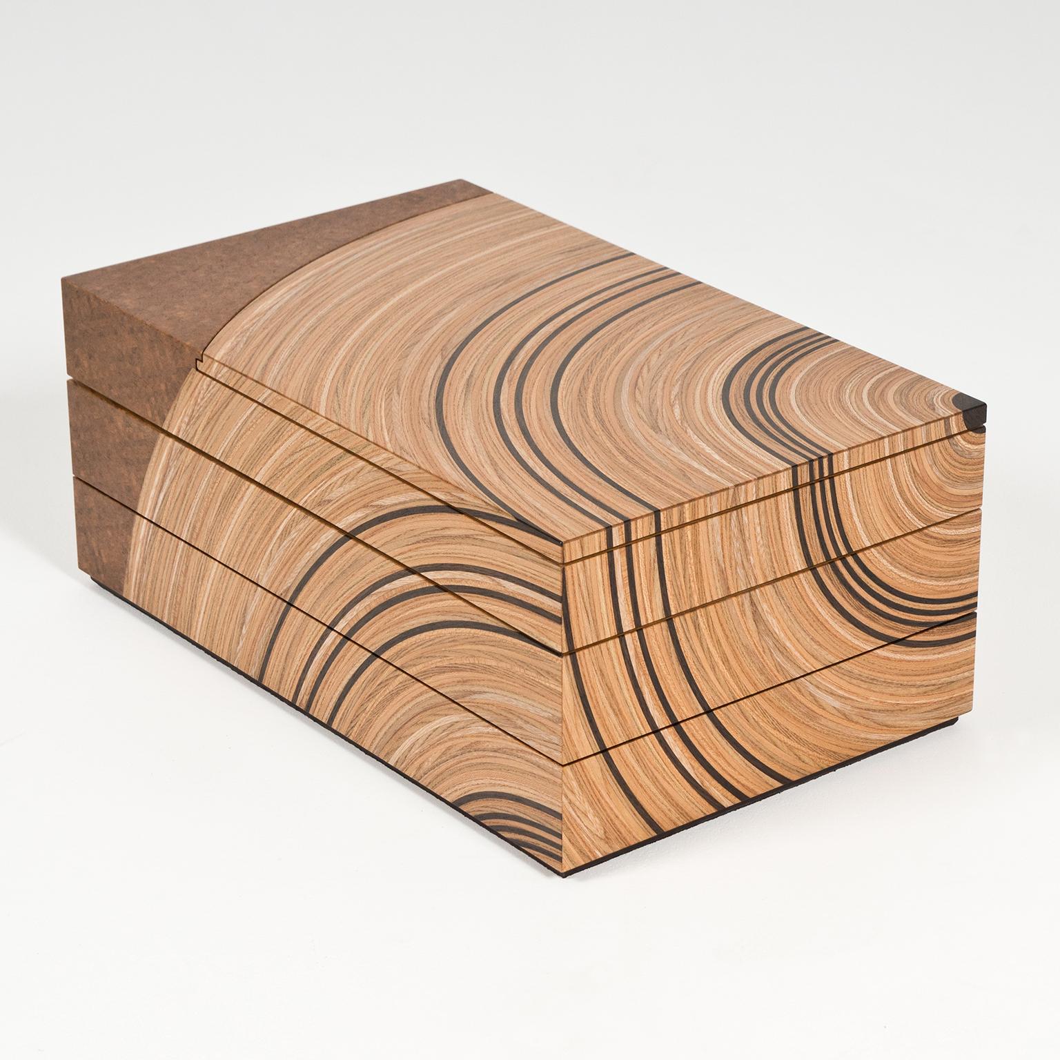 Contemporary Keepsake Box in Elm and Fumed Oak 'Family Tree' by Edward Johnson For Sale 2