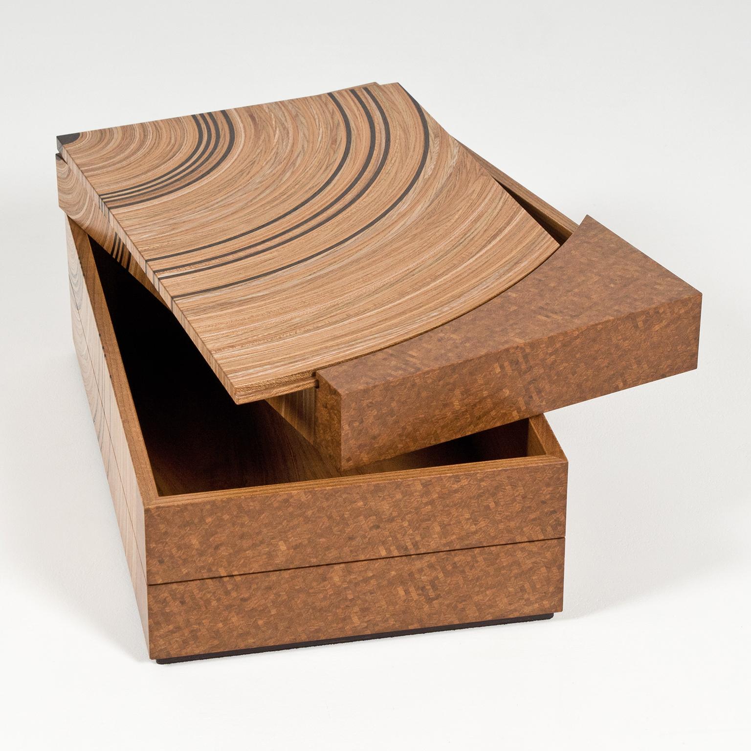 British Contemporary Keepsake Box in Elm and Fumed Oak 'Family Tree' by Edward Johnson For Sale