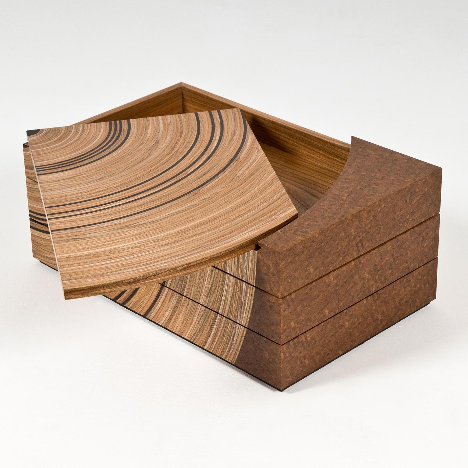 Hand-Crafted Contemporary Keepsake Box in Elm and Fumed Oak 'Family Tree' by Edward Johnson For Sale